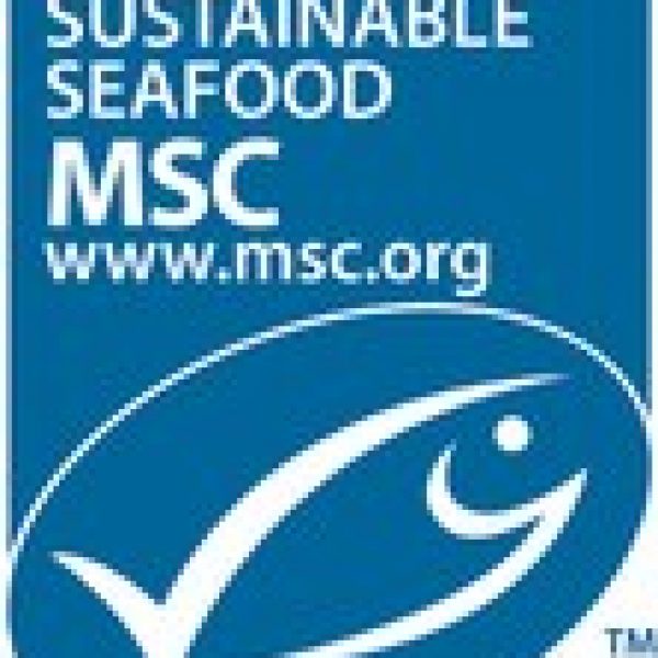 Logo MSC.